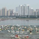 건너 이미지