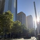 포엔시드니 | 시드니 포시즌스 호텔 풀하버뷰 위치 가격 룸컨디션 실제 후기