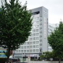 그랜드시티호텔(GrandCityHotel)창원 | 진해 군항제 숙소 깔끔한 그랜드 시티 호텔 창원 후기