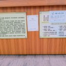 편작내과의원 네이버블로그