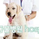 개포동물병원 - 양평군 양수로 170 | 개포동물병원