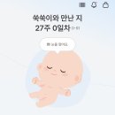 L.C.D노래연습장 | 임신 27주-29주차 | 임산부영양제 추천, 임당식단관리, 임산부아침, 보건소 백일해접종, 28주차 배크기...