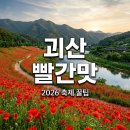 괴산 빨간맛축제 2026 가볼만한곳 주차 명당 및 솔직 후기