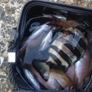 스쿠바민박 이미지