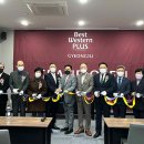 베스트 플러스 이미지