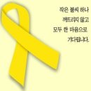 아시아메디칼 네이버블로그