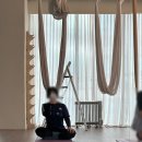 트랜디오 | 일상] 플라잉요가 복장 및 체험 '파우더존플라잉요가' 방문 후기 (수업, 내부 분위기, 가격, 주차 포함)