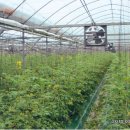 세도농장 이미지