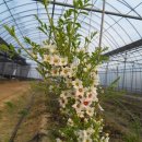 문관농장 이미지