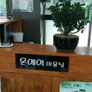 팀스헤어샵