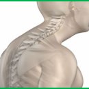 365마디척한의원 이미지