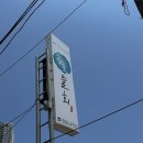 속초 세꼬시 물회 현지인 맛집 송도물회, 내돈내산 후기