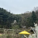벌교사료 | [김포맛집] 부모님 모시고 가기 딱 조운 집 알아왓자나,,, 꼬들꼬들 보리굴비랑 안짜고 맛있는 간장게장...