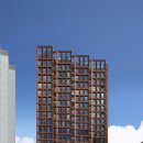 스테이 브라이튼 이미지