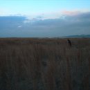 신화킹덤 이미지