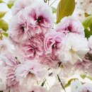 우인행정사사무소 이미지