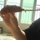 맘스터치(구래점) | 왓더버거 칠리스 내돈내산 배달로 먹어본 후기