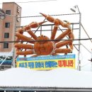 주문진대박식당