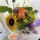 파크 블러썸 이미지