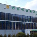 안동봉화축협 안동축산물공판장