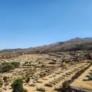 삼덕공원 이미지