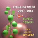 재치있는 엄마 이미지