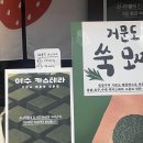 여수우체국 | &lt;여수 선물 추천&gt; 여수 카스테라 우체국; 쑥 카스테라 내돈내산 후기?!