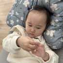 주니스어린이집 이미지