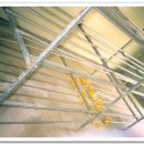 이티농장 이미지