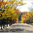 목동천길 이미지