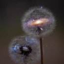 주식회사 두리 이미지