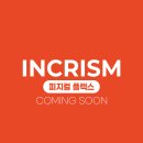 인크리즘