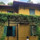 마마차카 이미지