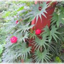 철성농장 이미지