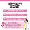 여주-0202 티스토리