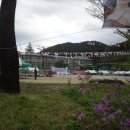 지품초등학교 이미지