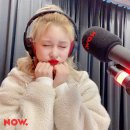 다영이불