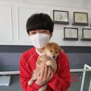 시바스럽 이미지