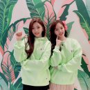 쏭스타 이미지