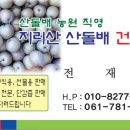 지리산산돌배건강원 네이버블로그