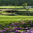 여주-0300 이미지