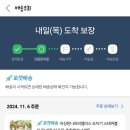 앨리스 티 팟 세트 구입후기