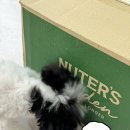바이탈13 | 강아지 영양제 추천 | 누터스가든 기능성영양제 “바이탈올인원플러스” 솔직후기