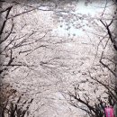 창원기계공업고등학교 이미지