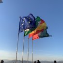 가족 스페인 여행 전 준비(비행기, 여행자 보험, 교통수단 (부엘링항공 , 알사버스 alsa , 렌페 renfe...