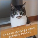 하우스네일(House nail) 이미지