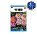다농 이미지