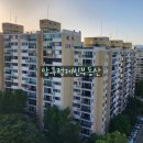 압구정-206 이미지
