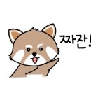 바다에서온거북이꼬따오 이미지