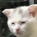 메인기획 이미지